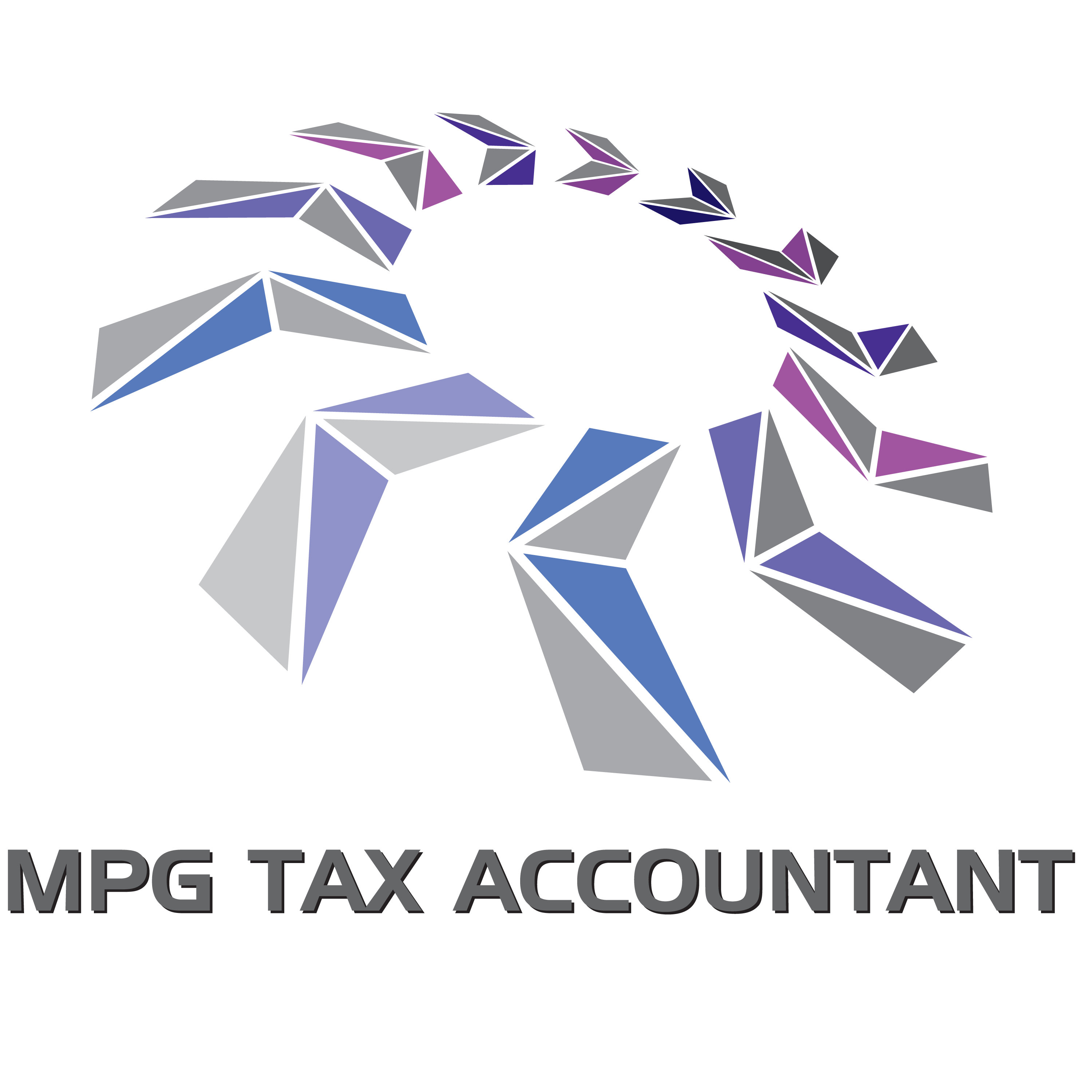 MPG Tax Accountant