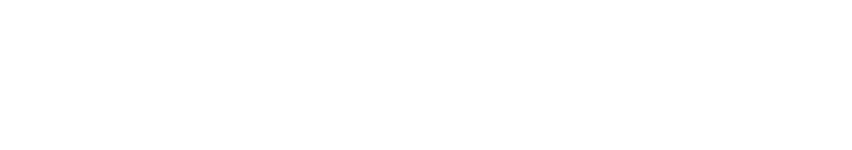 Access HandiSoft